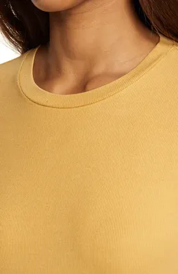 AG AG Women's Gray Boy Ribbed T-Shirt in Mocha Cream — Women Spring beige Tops