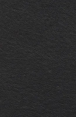 rag & bone rag & bone Carter Reversible Leather Belt in Black Brown — Men Winter black Accessories