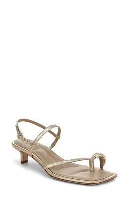 Vince Vince Polli Kitten Heel Sandal in Champagne — Women Spring beige Shoes