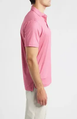 johnnie-O johnnie-O Tini Dancer Martini Print Featherweight Performance Polo in Pink Lemonade — Men Spring pink Tops