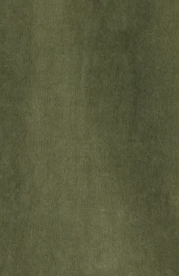 AG AG Curtis Classic Fit Button-Up Work Shirt in Sulfur Urban Green — Men Autumn green Tops