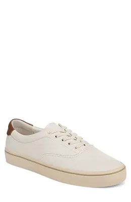 Vince Vince Seaside Low Top Sneaker in Pebble White — Men Spring white Shoes