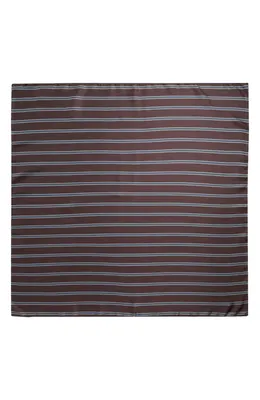 Vince Vince Stripe Silk Twill Scarf in Brown — Women Autumn grey Accessories