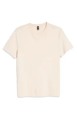 AG AG Bryce Crewneck T-Shirt in Vintage Pink — Men Spring ivory Tops