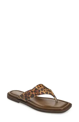 rag & bone rag & bone Gracie Jelly Flip Flop in Tortoise — Women Autumn brown Shoes