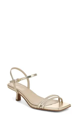 Vince Vince Tilda Ankle Strap Sandal in Champagne — Women Spring beige Shoes