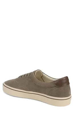 Vince Vince Seaside Low Top Sneaker in Kalamata — Men Autumn grey Shoes