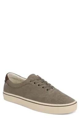 Vince Vince Seaside Low Top Sneaker in Kalamata — Men Autumn grey Shoes
