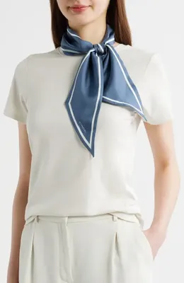 Vince Vince Stripe Silk Scarf in Azul — Women Summer grey Accessories