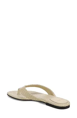 Vince Vince Lotus Flip Flop in Cashew — Women Spring beige Shoes