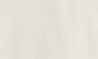 johnnie-O johnnie-O Fusionn Stretch Nylon Chino Shorts in Stone — Men Spring ivory Shorts