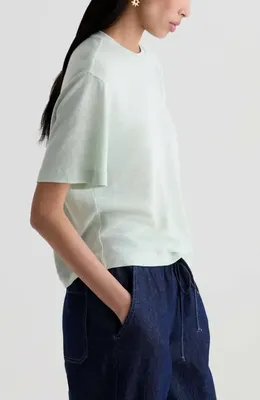 AG AG Charli Boxy Linen Blend T-Shirt in Summer Vine — Women Summer white Tops