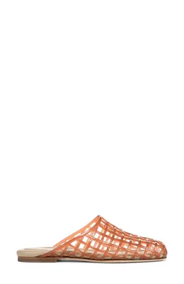 Vince Vince Barcelona Jelly Cage Mule in Dark Amber — Women Autumn coral Shoes