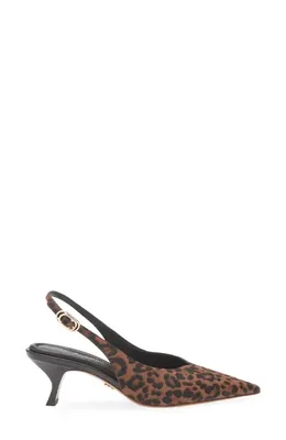 rag & bone rag & bone Madison Slingback Pointed Toe Kitten Heel Pump in Leopard — Women Autumn brown Shoes