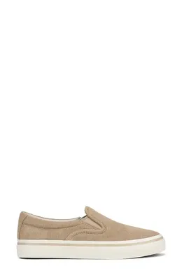 Vince Vince Blair Slip-On Sneaker in Sand Trail — Women Autumn beige Shoes