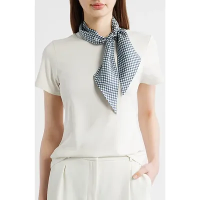 Vince Vince Gingham Ribbon Silk Scarf in Coastal Blue — Women Summer navy Accessories
