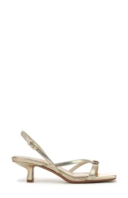 Vince Vince Tali Slingback Kitten Heel Sandal in Champagne — Women Spring tan Shoes